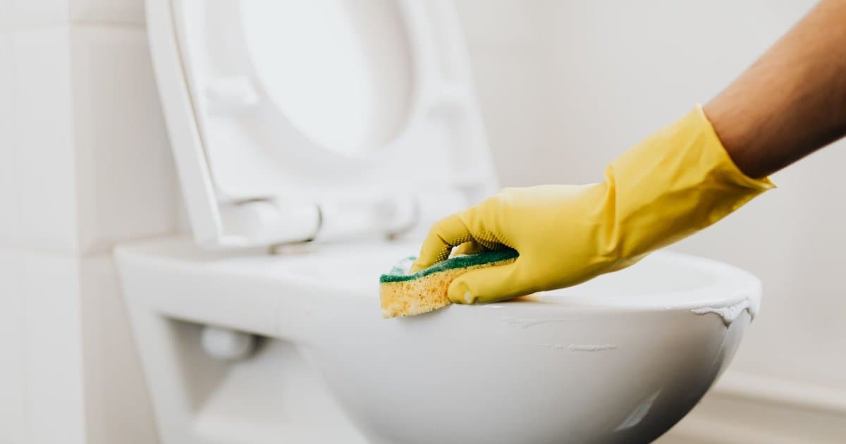 Is Bleach Ruining Your Toilet? What the Toilet Makers Actually Say