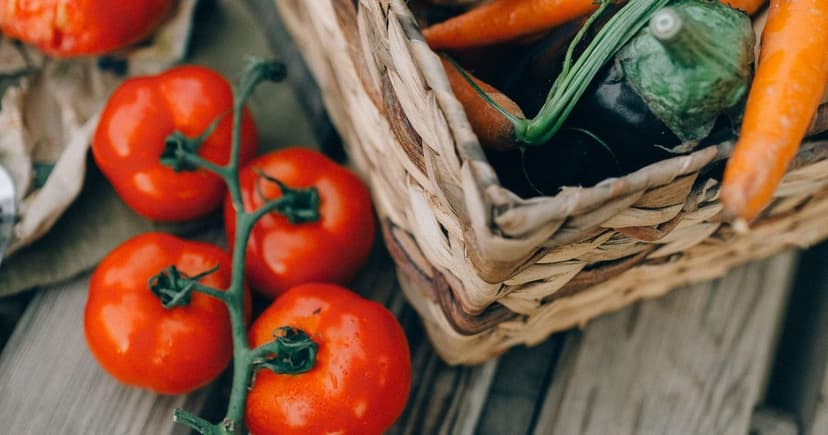 What Does USDA Certified Mean on CleenBeez? USDA Organic Explained